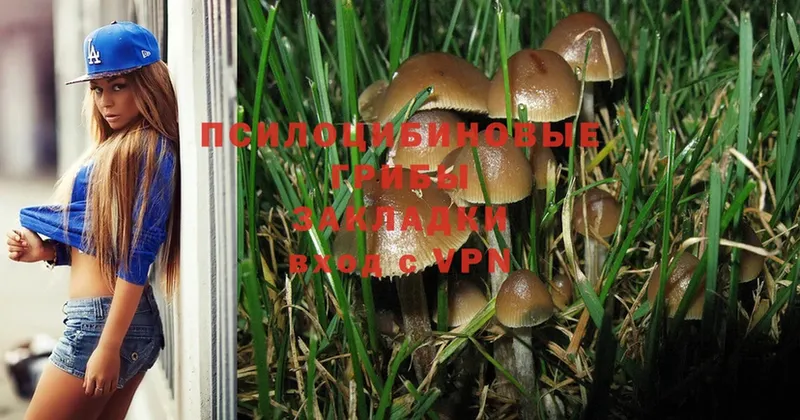 Галлюциногенные грибы MAGIC MUSHROOMS  Горячий Ключ 